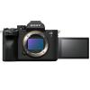 SONY_A7_MARK_IV___SIGMA_24_70MM_F_2_8_DG_DN_ART_3