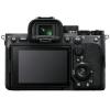 SONY_A7_MARK_IV___SIGMA_24_70MM_F_2_8_DG_DN_ART_5
